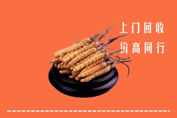 高价求购：伊犁州伊宁市回收散虫草
