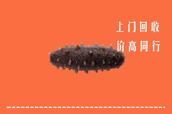 高价求购：伊犁州伊宁市回收海参