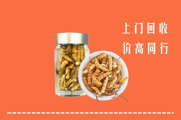 伊犁州伊宁市回收冬虫夏草
